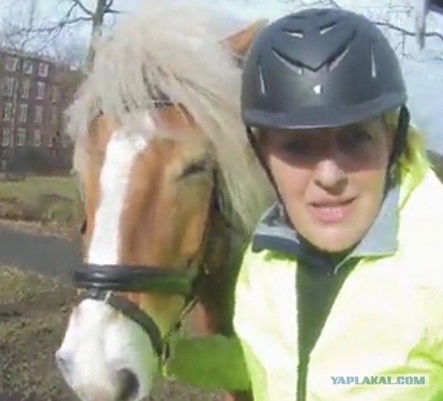 Скутерист и наездница