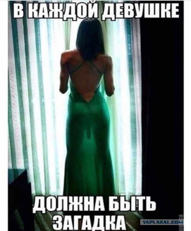 Прикольные картинки обо всём
