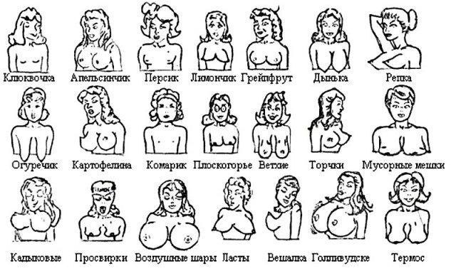 Ствол давно усох, а шарики для украшения
