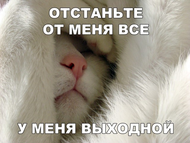 Отстань картинки прикольные