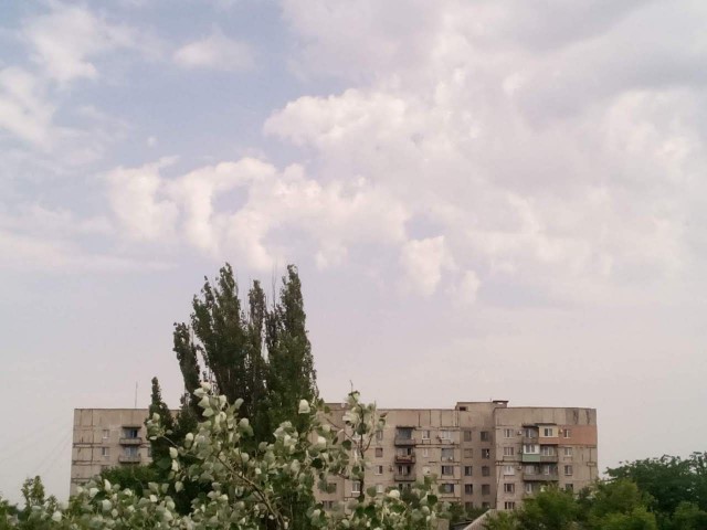 Чуток картинок  26.06.19