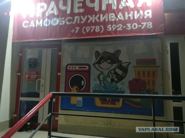 Мужчины умнеют. Женщины негодуют