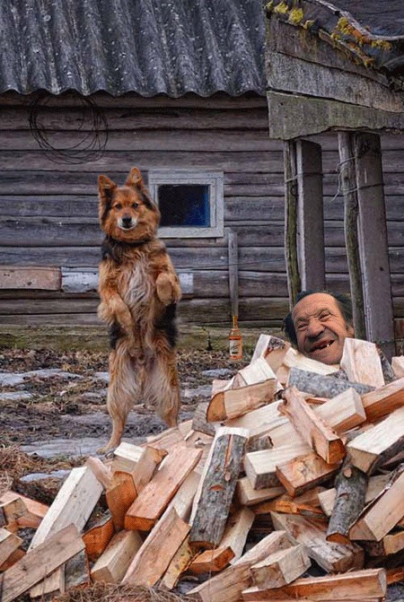 Каникулы в Простоквашино
