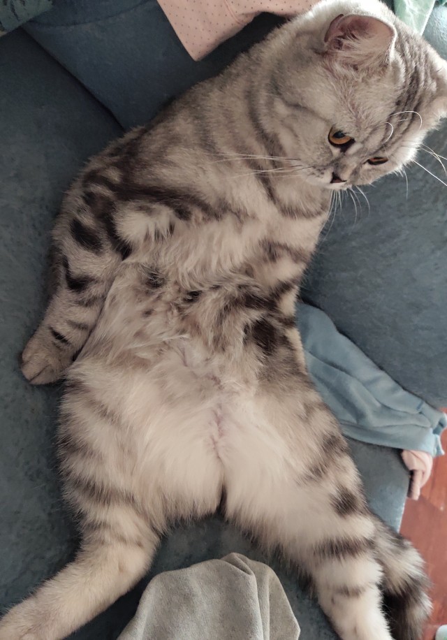 Моя красотка