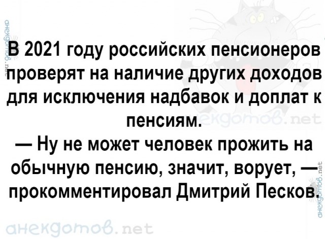 Дмитрий Песков обвинил "черные полосы" в низком размере пенсий российских пенсионеров.