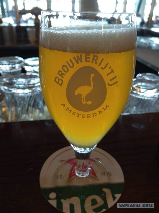 16 деталей жизни голландцев, которые доказывают, что между нашими странами — пропасть