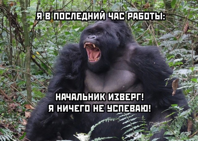 Странные короткие комиксы
