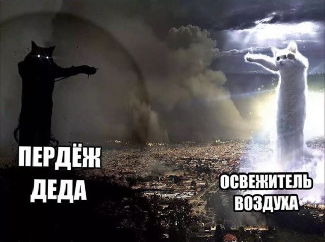 13 фактов про пердёж