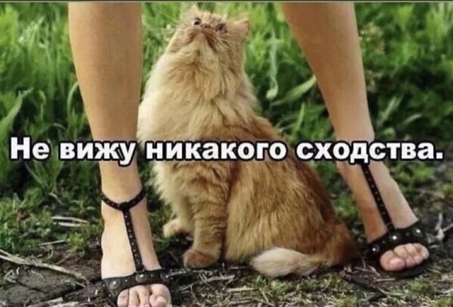 Картинки и мемы для настроения