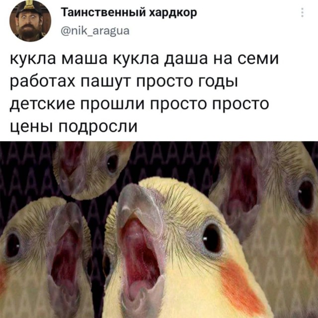 Забавные комментарии из социальных сетей (07.02.22)