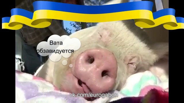 Болгария будет получать сжиженный природный газ из США по ценам ниже, чем у Газпрома