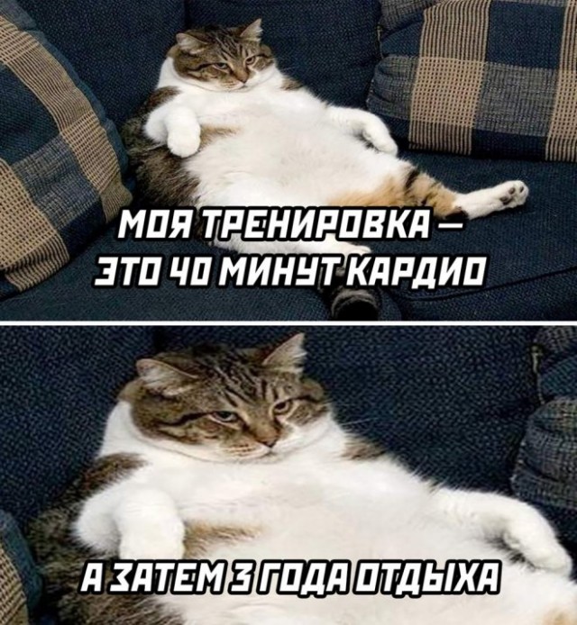 Картинки и мемы для настроения - 21