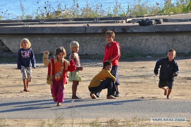 Любовь с первого взгляда