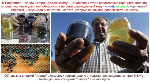 Катастрофа пчеловодства
