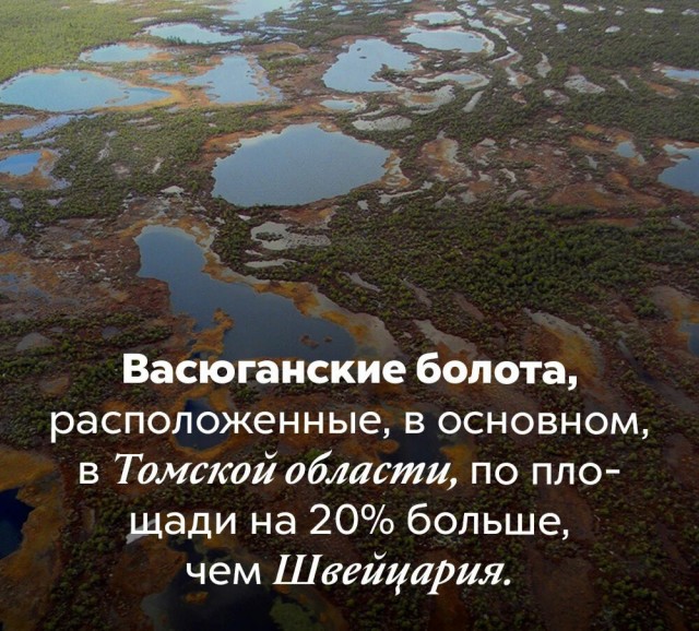 Факты. Просто факты 3