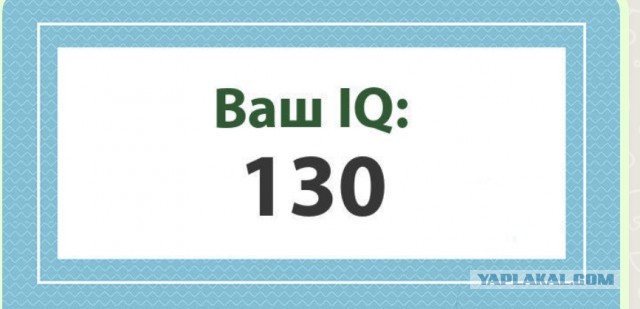 А какой у Вас IQ?