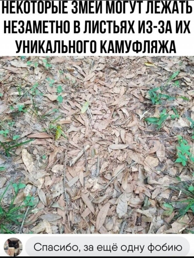 Немного картинок для настроения - 139