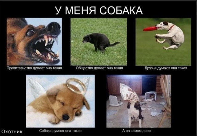 Победная поступь идиотизма по планете – том 10