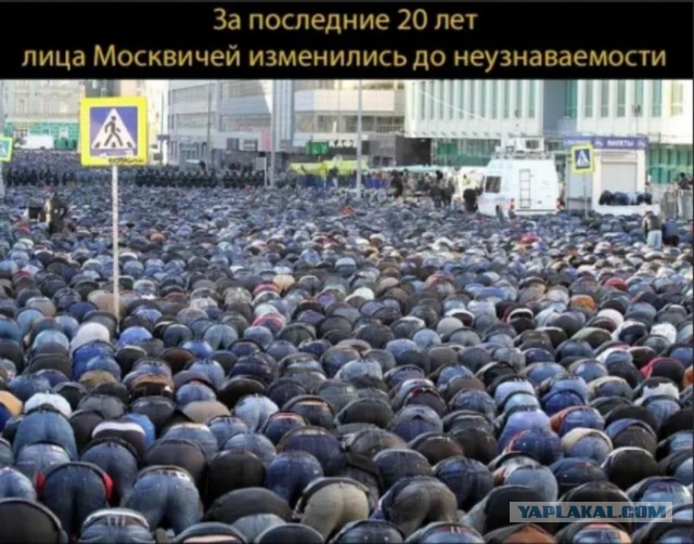 Машина на большой скорости влетела в столб и загорелась на Кутузовском проспекте в Москве