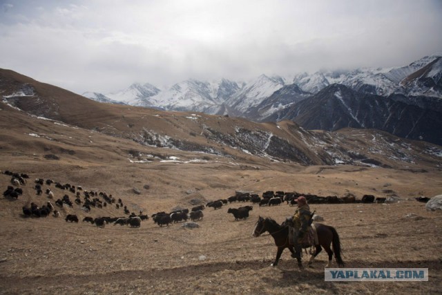 Как я побывал во Владикавказе.
