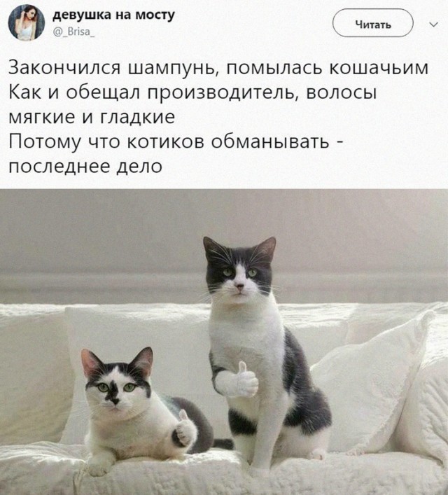 Весёлый полтишок 08.09.23
