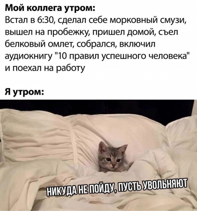 Весёлый полтишок 15.09.23