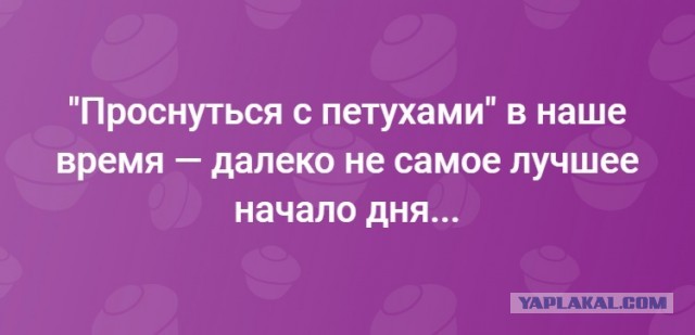 Ну раз заходят, то нате ещё боянов