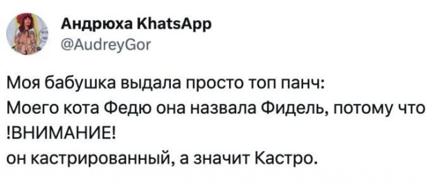 Фразы бабушек, которые надо записывать в "Цитаты великих людей"