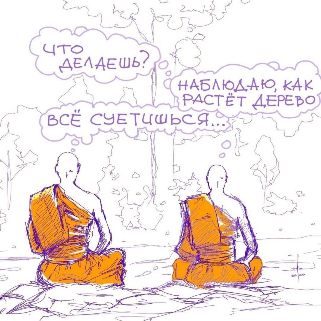 Так себе картинки 15.12.23