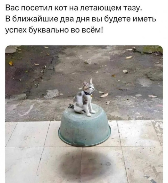 Так себе картинки 27.03.24