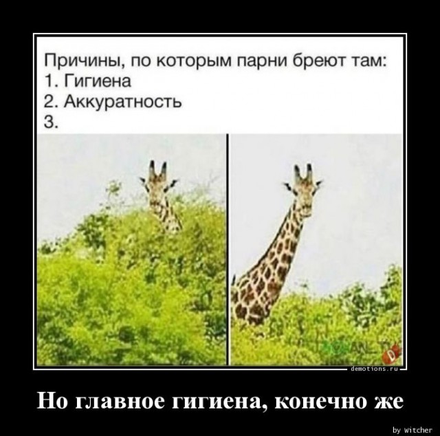 Примерно так выглядит неопрятная борода