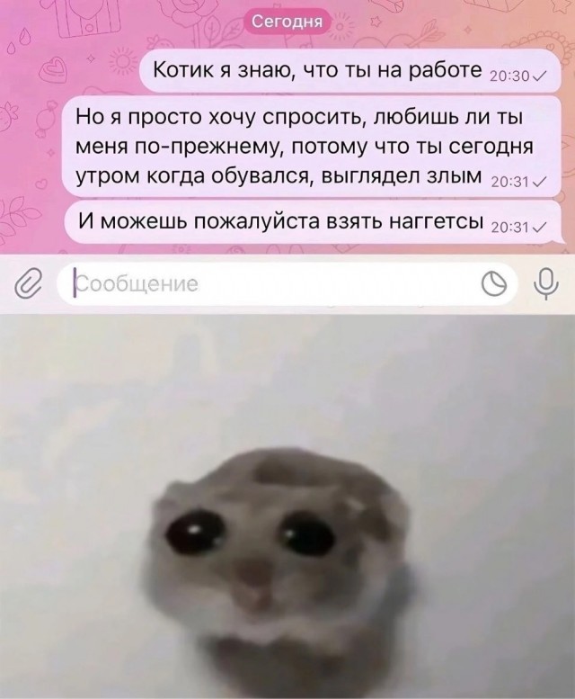 Так себе картинки 24.06.24