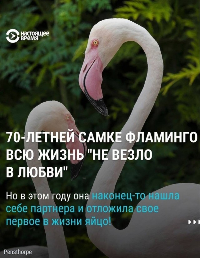 Так себе картинки 26.08.24