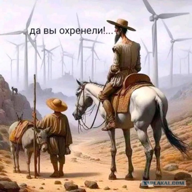 Немного забавных картинок от 11.09.2024