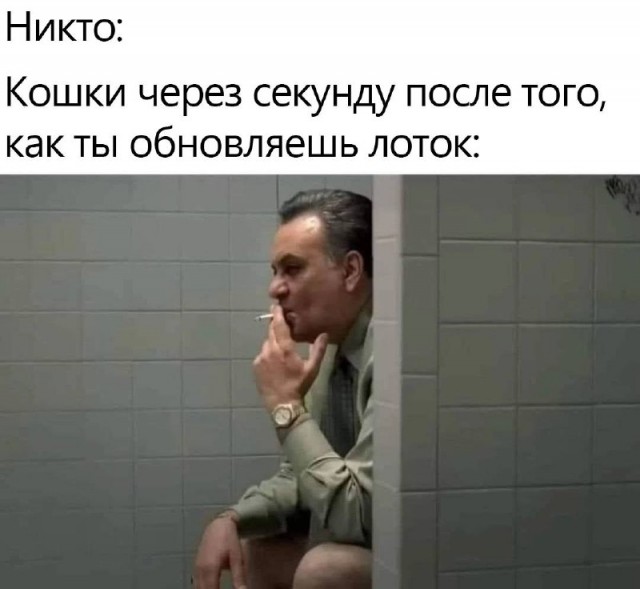 Веселые картинки к четвергу (03.10)