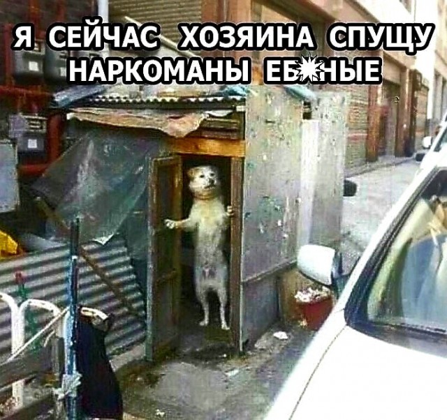 Немножко для пятницы. Солянка