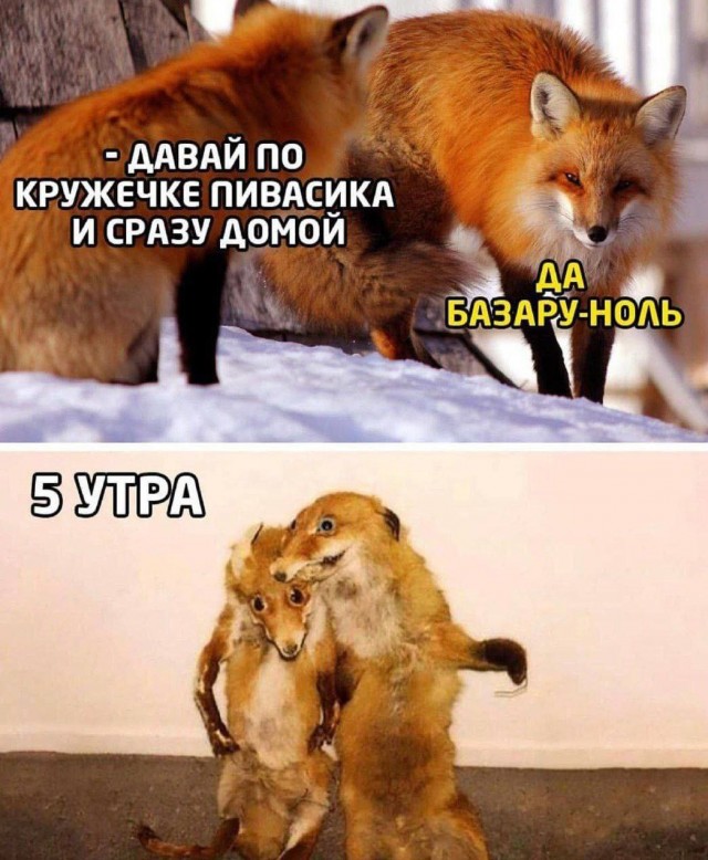 Картинки для сегодня