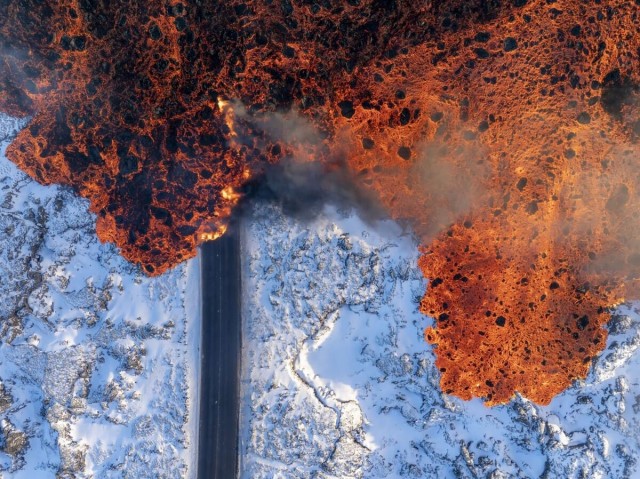 Объявлены победители конкурса World Nature Photography Awards 2025