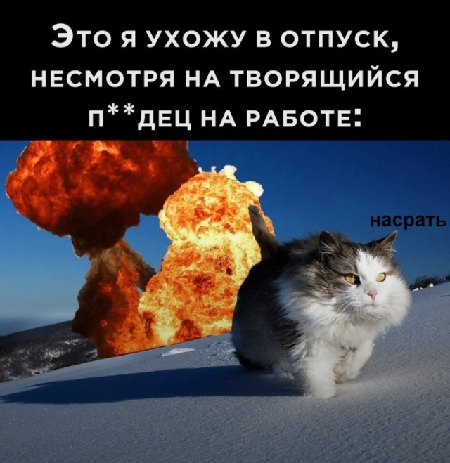 Как всегда, старался не боянить, но....