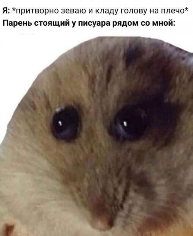 10 картинок падонгам для вечернего настроения