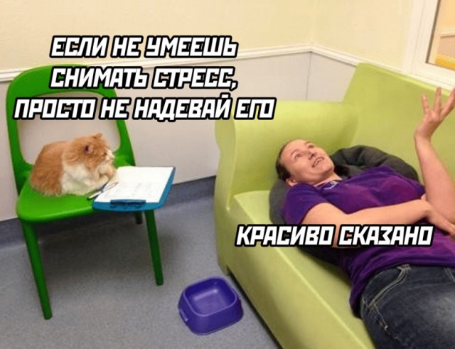 Картинки для деградации 34 (разной степени свежести)