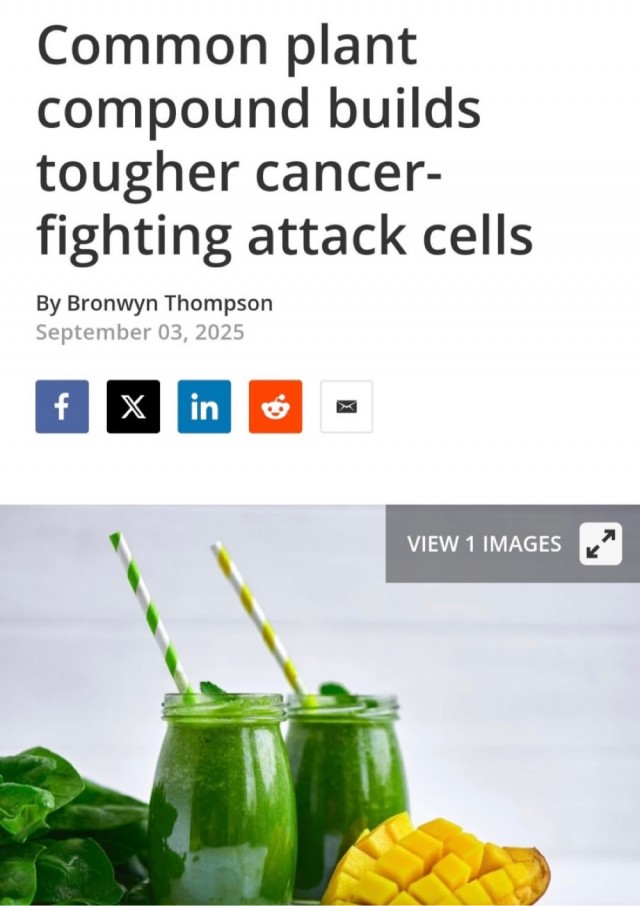 Пополняем холодос овощами.