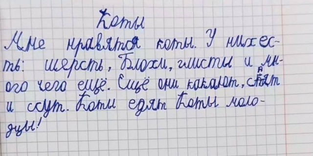 Солевой барсик