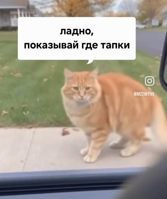 Вот сволочи...