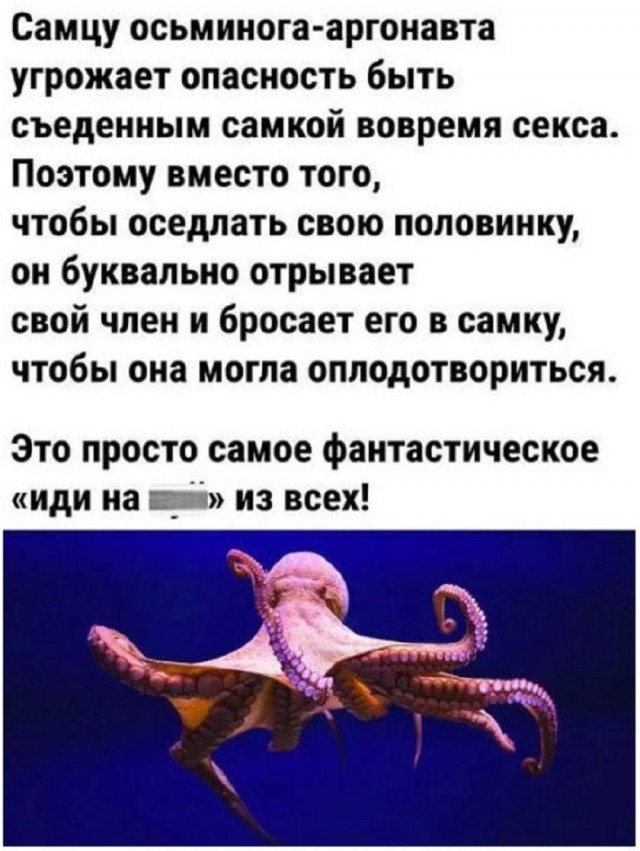 Так себе картинки 09.12.25