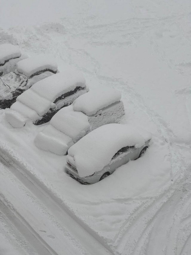 Мощный снегопад обрушился на Сочи
