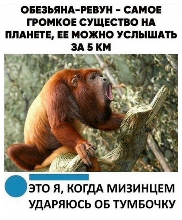 Так себе картинки 02.01.26
