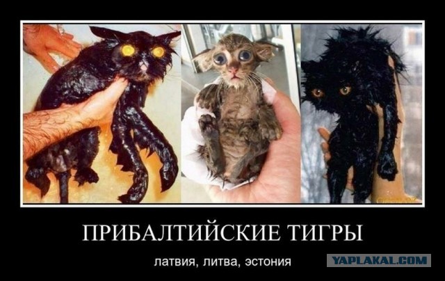 Черное золото Латвии. Станет ли она прибалтийским эмиратом?