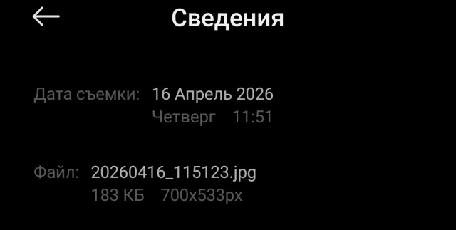 Девушки бывают разные (16.04)