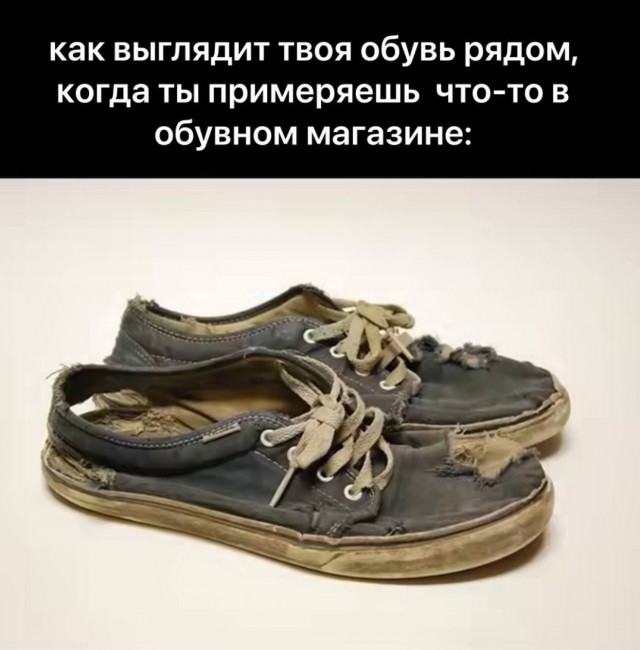 Аккордеоны 2